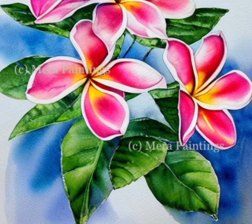 FRANGIPANI