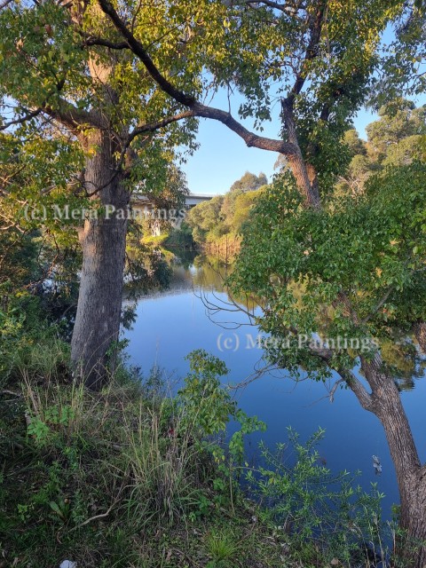 Scenic Georges River