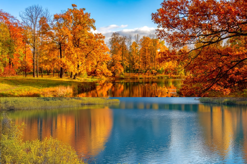 autumn