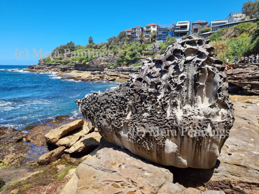 MONSTER ROCK ON BEACH