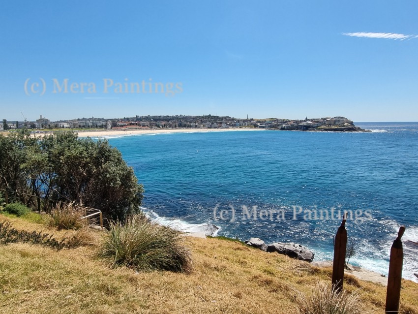 BONDI BEACH VIEW