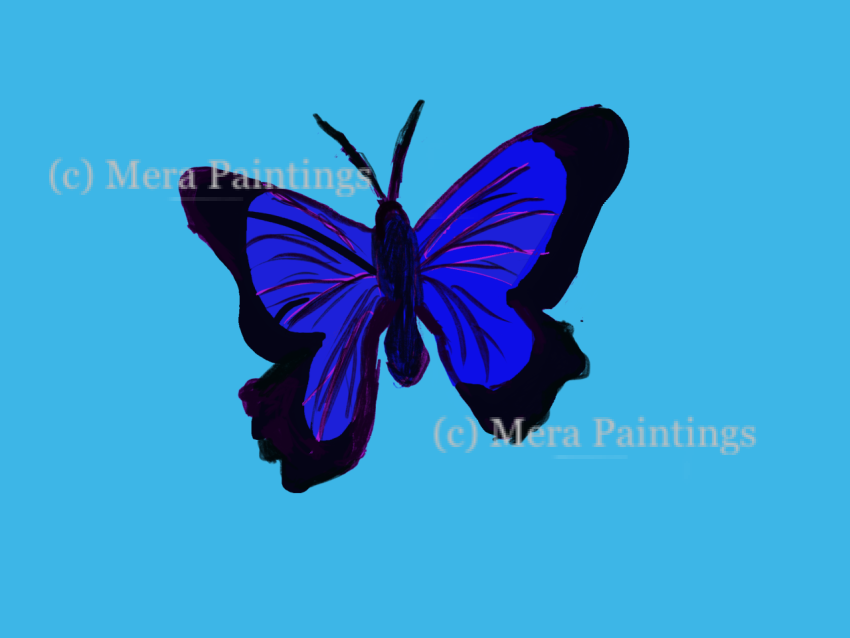 Blue butterfly