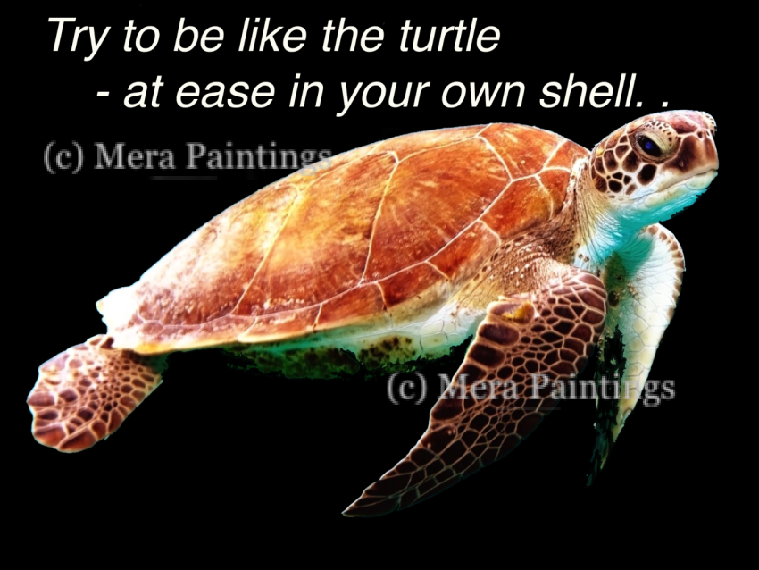Own shell