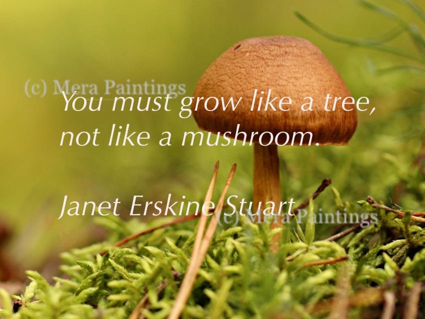 Janet Erskine Stuart Quote