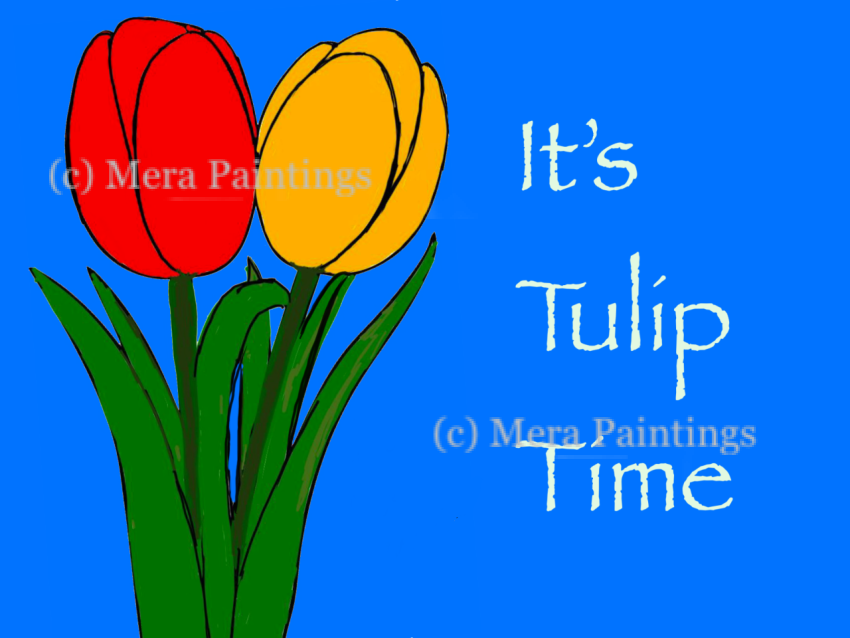 tulip time