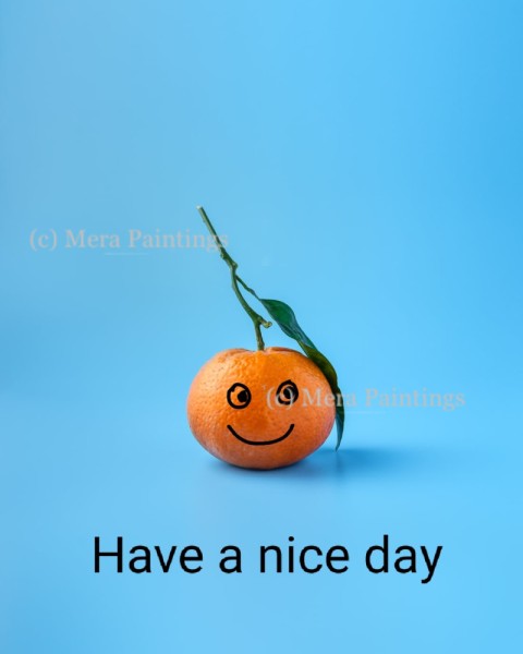 have a nice day