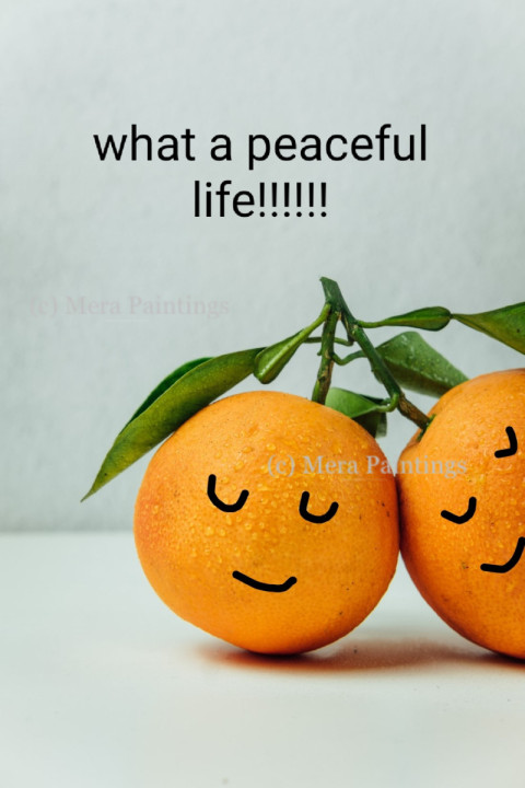 enjoy peaceful life