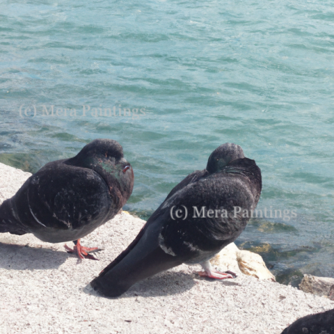 sun bathing at beach