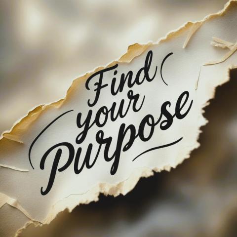 Find your why.....