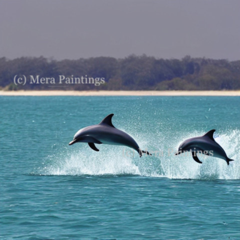 Playful dolphins