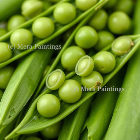 Close up of fresh green peas