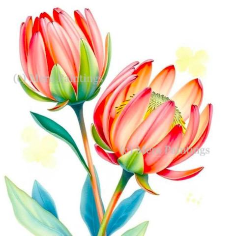 Protea flowers