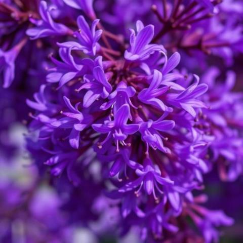 Spring's finest