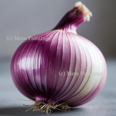 Unsung hero of the kitchen