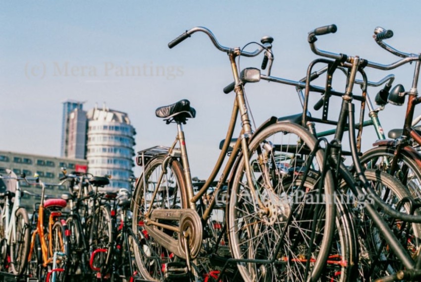 city of cycles Amsterdam