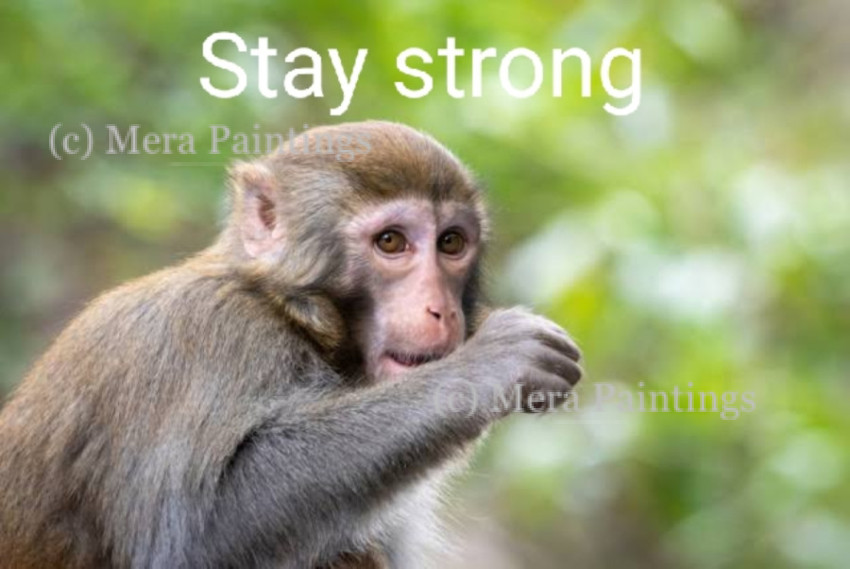 STAY STRONG