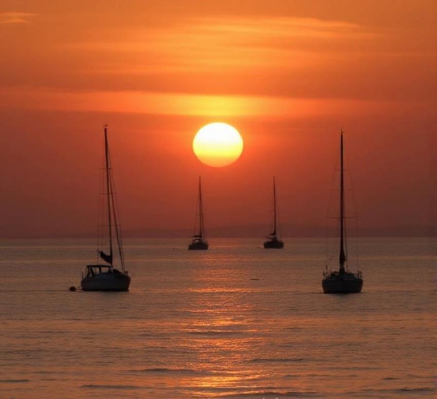 Boats at sea