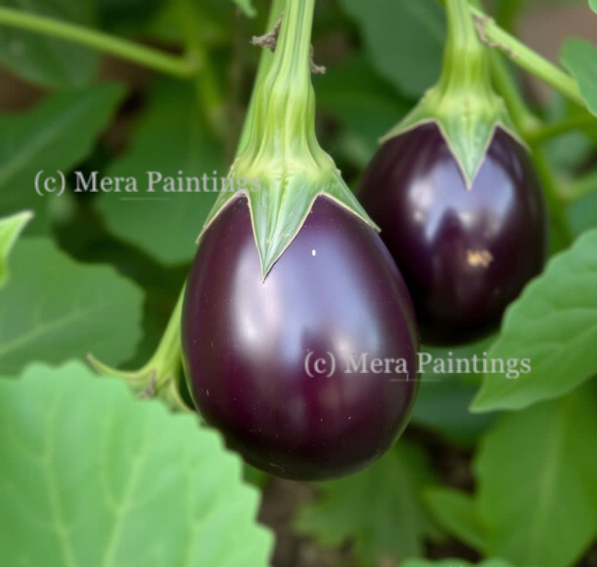 Simply eggplantlicious