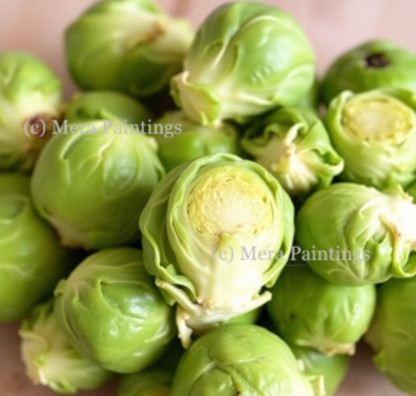 Brassica oleracea