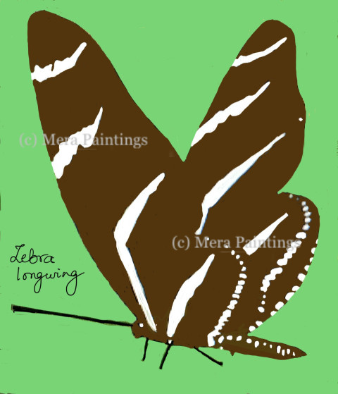 Lebra longwing