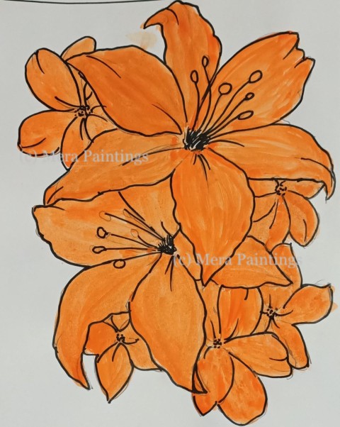 Orange lily