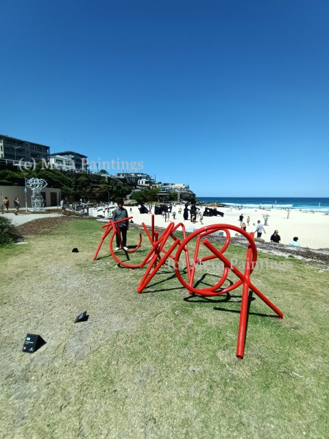 tamarama beach