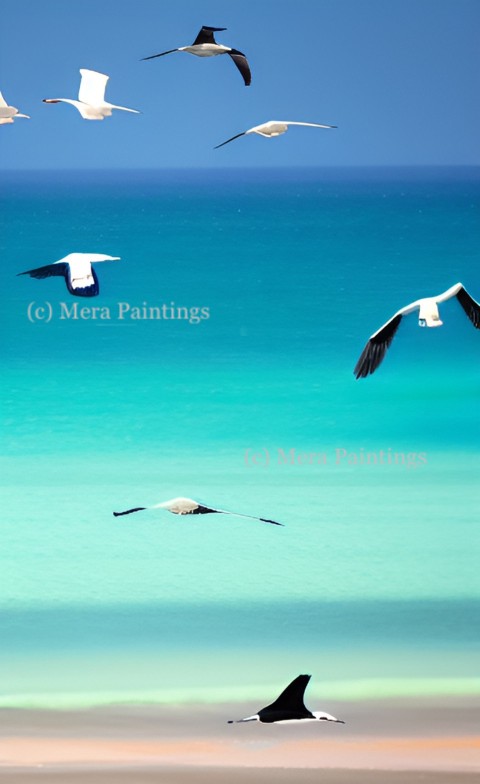 BLUE SEA AND BIRDS