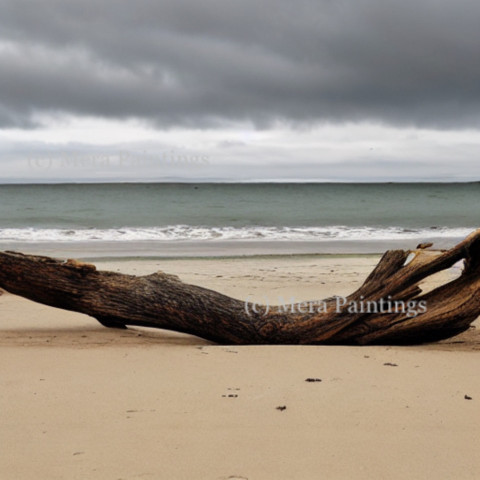 Driftwood