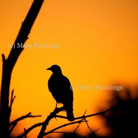 A single silhouette against the sunset