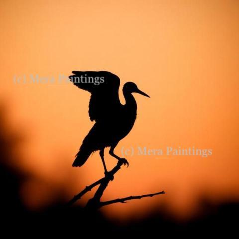 Alone, but soaring. Always free
