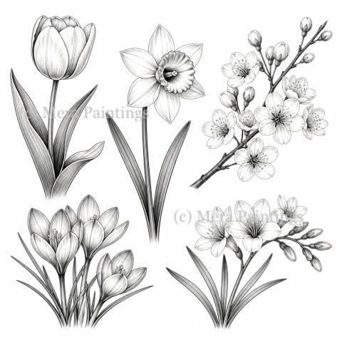 Black and white clipart