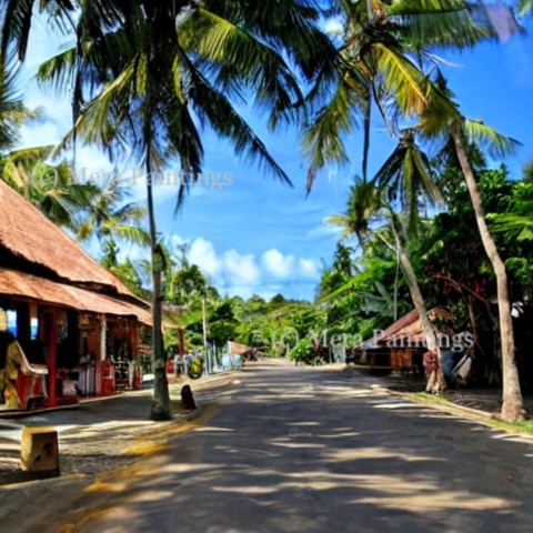 A STREET IN ISLAND PARADISE