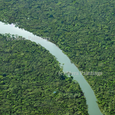 AMAZON RIVER VIEW FROM ABOVE