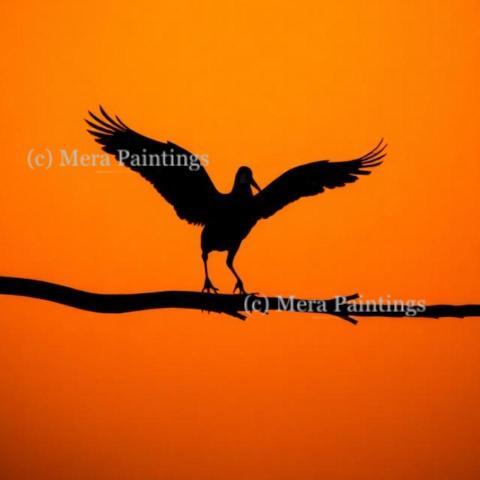Painted against the sunset
