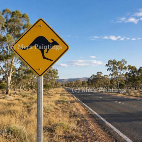 Wild life road sign
