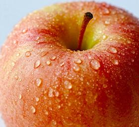 Fresh apple