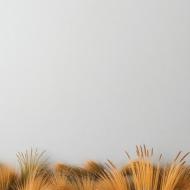 Nature's rugged beauty