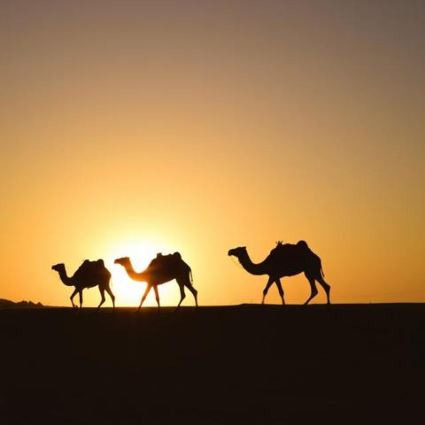 A timeless journey in a timeless land