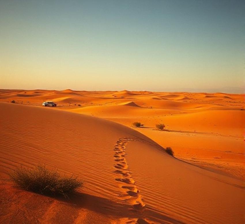 Exploring the desert, one dune at a time