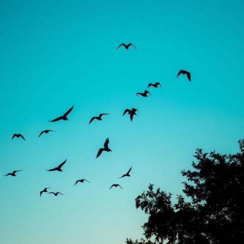 Feathered and fabulous