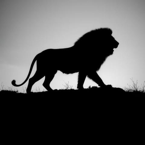 Own your path, just like a lion