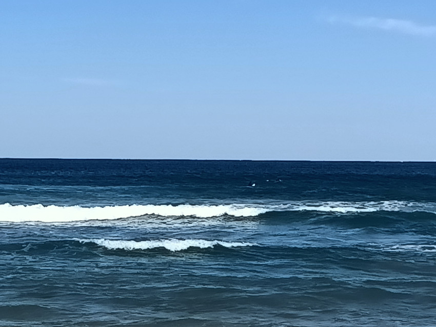 Wanda beach,New south wales