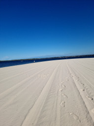 dolls point beach