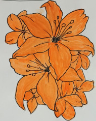 Orange lily