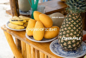 mango ficient