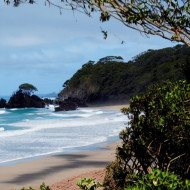 A beach in Byron bay