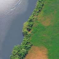 Amazon river-longest river of the world