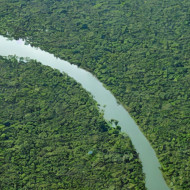 AMAZON RIVER VIEW FROM ABOVE