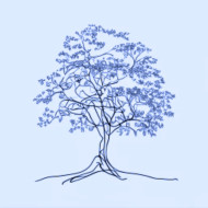 ARBOL SOLITARIO