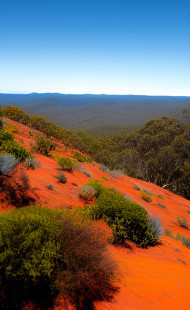 AUSTRALIAN OUTBACK